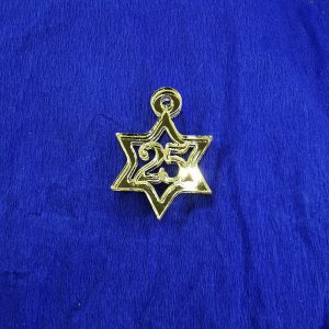 Αστέρι 2025 3εκ. Χρυσός καθρέφτης 5τεμ.